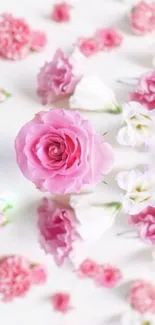 Elegant pink roses and blossoms mobile wallpaper.