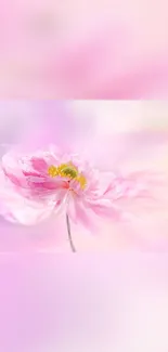 Elegant pink flower with soft pastel hues on a serene mobile wallpaper.