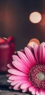 Beautiful pink flower with candlelight and bokeh effect background.