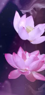Elegant pink lotus flowers against a night sky.