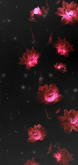 Mobile wallpaper with pink lotus flowers on a black background.