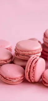 A stack of elegant pink macarons on a soft pink background.