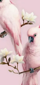 Two pink parrots perched on branches against a pale pink backdrop.