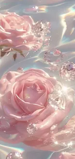 Pink roses floating in shimmering water background.