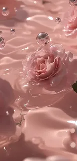 Pink roses floating in water with reflective droplets.