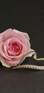 Pink rose and heart jewel on dark background.