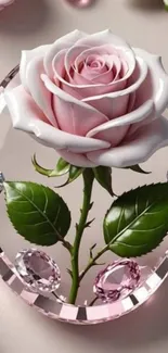 Elegant pink rose inside crystal design wallpaper.