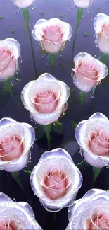 Beautiful pink roses with water droplets in a serene wallpaper design.