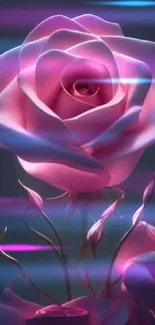 Elegant pink rose with dark background, ideal mobile wallpaper.