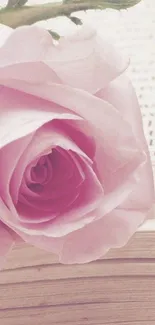 Elegant pink rose on open book mobile wallpaper.