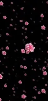 Black wallpaper with pink rose pattern.