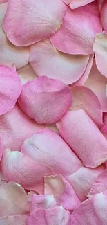 Elegant pink rose petals create a serene mobile wallpaper.