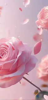 Pink roses with delicate falling petals