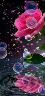 Pink rose reflecting on water with bubbles.