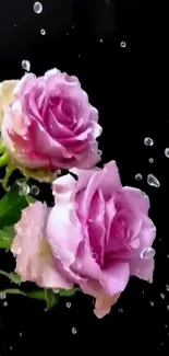 Elegant wallpaper with pink roses and water droplets on a black background.