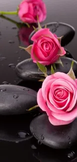 Mobile wallpaper with pink roses on black stones with water droplets.