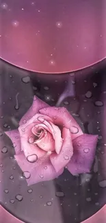 Elegant mobile wallpaper with a pink rose and water droplets on a purple background.