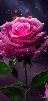 Beautiful pink rose with dewdrops against a dark background.