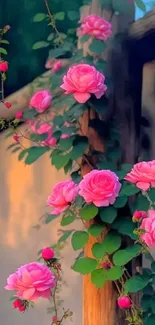 Vibrant pink roses climbing a rustic wooden fence.