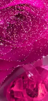 Elegant pink rose with sparkling diamond wallpaper.