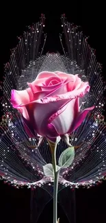 Elegant pink rose with intricate design on a black background.