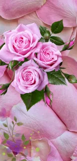 Elegant pink roses with lush green leaves on a delicate petal background.