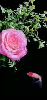 Vibrant pink rose with delicate flowers on a black background.