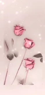 Elegant pink roses on soft pink background for mobile wallpaper.