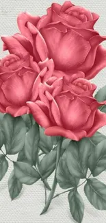 Three elegant pink roses with green leaves on a textured background.