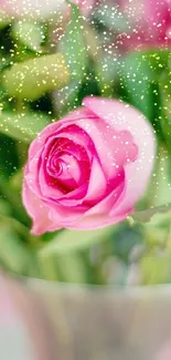 Elegant pink rose with lush green leaves in background.