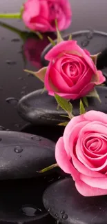 Pink roses resting on smooth black stones with water droplets.