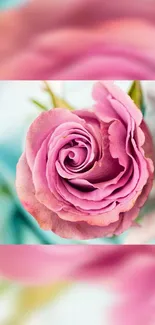 A close-up of a pink rose with soft green and blue background.