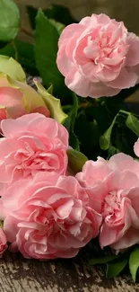 Pink rose bouquet on wooden surface wallpaper.