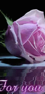 Elegant pink rose with reflection on a dark background.