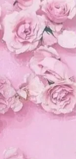 Elegant pink roses on pastel background, perfect for phone wallpaper.