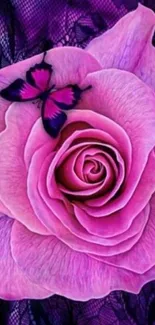 Pink rose with butterfly on purple lace background.