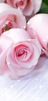 Elegant pink roses with sparkling effects and soft petals on a white background.