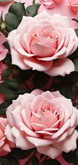 Elegant pink roses with green leaves on a soft background.