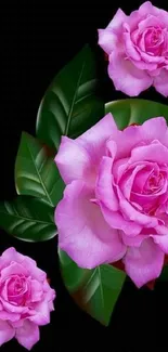 Mobile wallpaper with pink roses on a dark background.