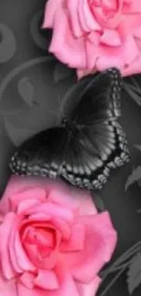 Pink roses and black butterfly wallpaper.