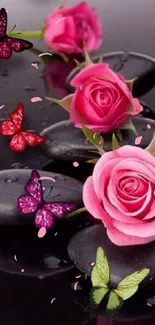 Pink roses and butterflies on black stones mobile wallpaper.