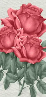 Beautiful pink roses with green leaves on a textured background.