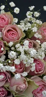 Elegant pink roses with white blossoms on a dark background.