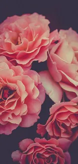 Elegant wallpaper featuring pink roses on a dark background.