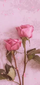 Elegant pink roses with leaves on a soft background.