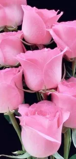 Close-up of elegant pink roses on black background, perfect for mobile wallpaper.