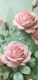 Pink roses on a mint green background mobile wallpaper.