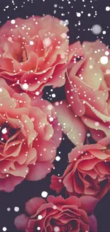 Pink roses and snowflakes on dark backdrop wallpaper.