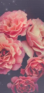 A bouquet of vibrant pink roses on a dark background.