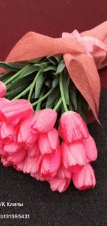 Bright pink tulips wrapped elegantly in a bouquet with dew droplets.